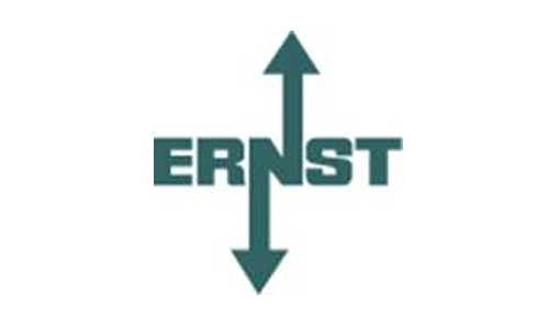 One Nation - Street Parade Lovemobile - Ernst Autotransporte